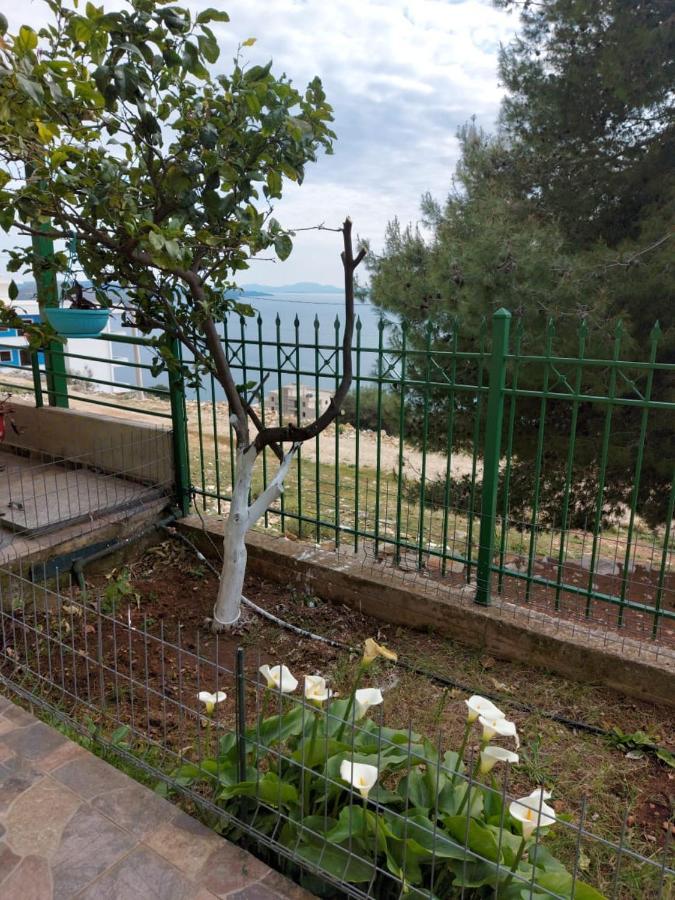 Villa Luiza Sarandë Exterior foto
